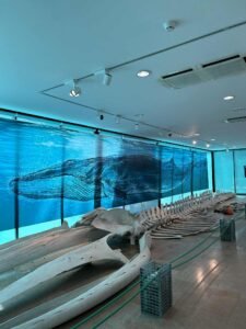 messenger creation 24ca38d1 d077 4ebb 9701 3d54eb4eb219