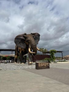 messenger creation 2999a21b 1934 431c b305 8412d5271bfd