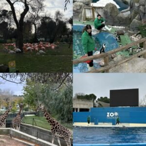 messenger creation 3fba967f 56e3 4b15 a353 901f27177d50